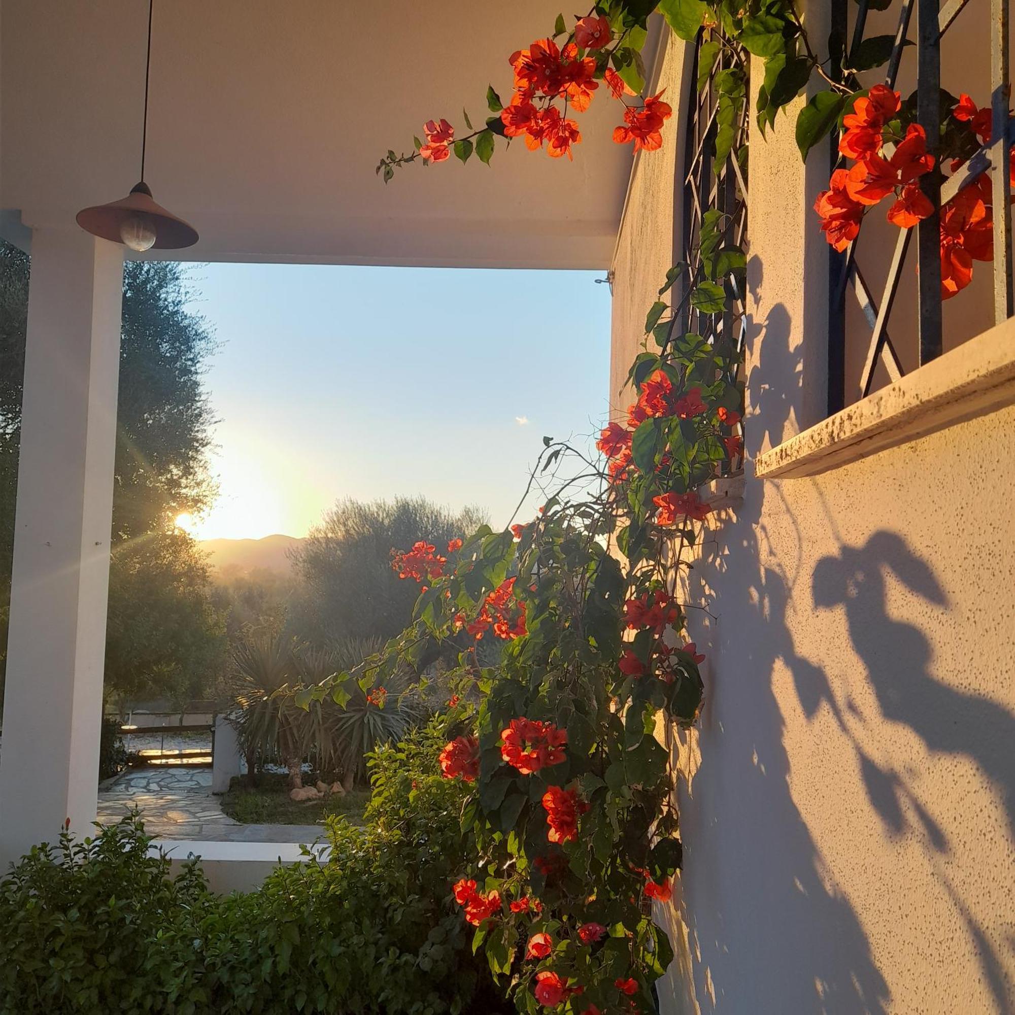 Agriturismo Palas De Serra Country Resort Onifai Exterior photo